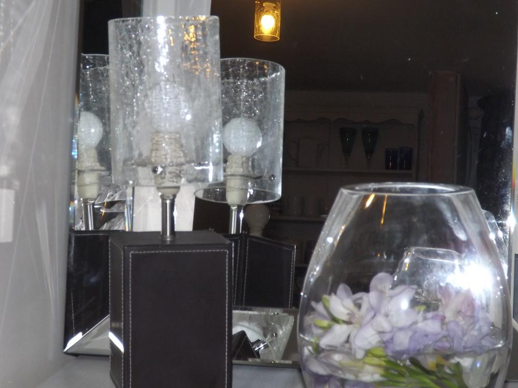 The Swallows Guest House New Quay  Εξωτερικό φωτογραφία
